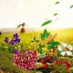 草地植物花卉食品促銷主圖設(shè)計(jì) 千庫(kù)網(wǎng)免費(fèi)PSD素材推薦
