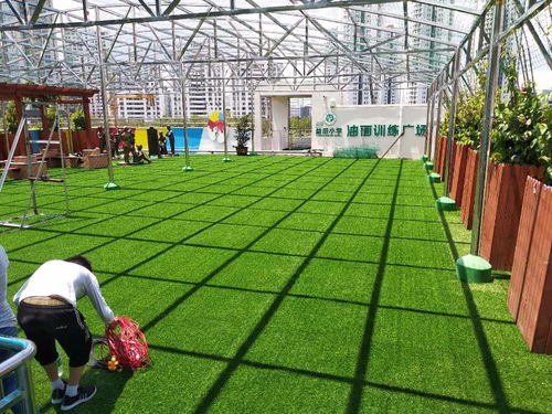 深圳仿真草坪植物墻花草綠植裝飾工廠直銷環保低碳上門安裝