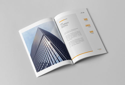 簡(jiǎn)約大氣，專業(yè)信賴 商務(wù)咨詢與投資企業(yè)公司畫冊(cè)
